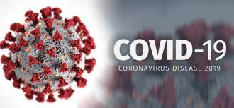 Banyaknya Orang Yang Menjadi Korban Jiwa Dari Virus Covid-19